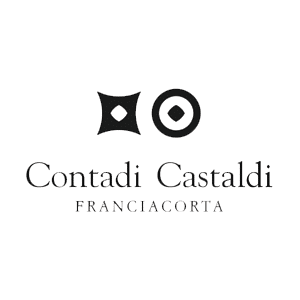 Logo Contadi Castaldi - Creativi Digitali